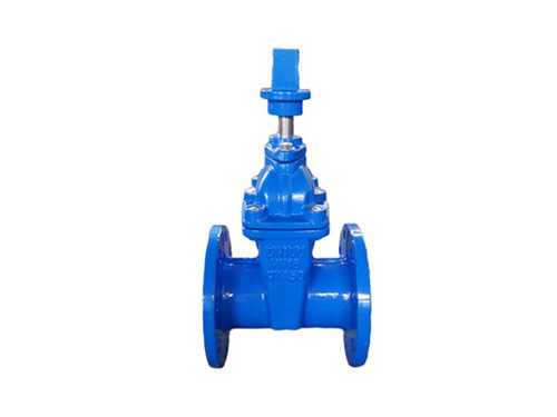 RVCXSZ45X-16Q地(di)下彈性座(zuò)封閘閥